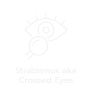 Layout-Eye-Center_Strabismus-aka-Crossed-Eyes-EN.png