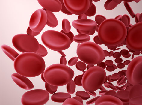 anemia the loss of red blood cells bumrungrad hospital what are the two types of cells