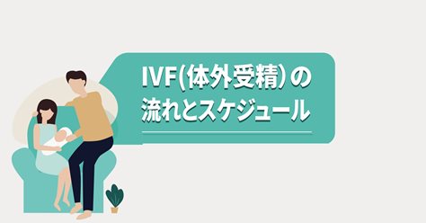 IVFの流れとスケジュール