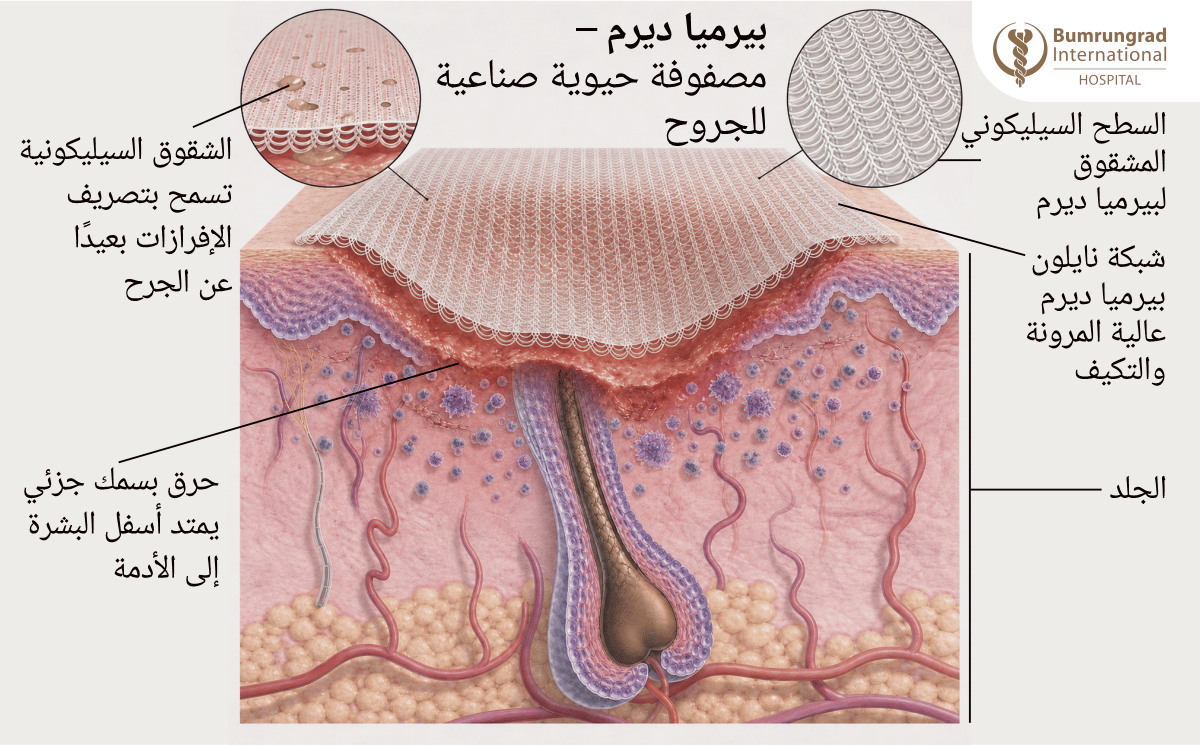 Advanced-Wound-Dressing-for-Chronic-and-Non-Healing-Wounds-Image-3-AR.png