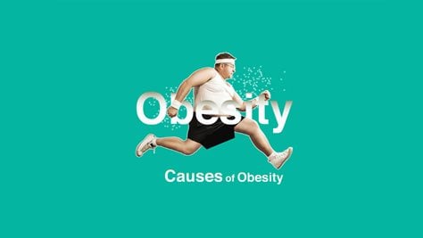 Causes of Obesity