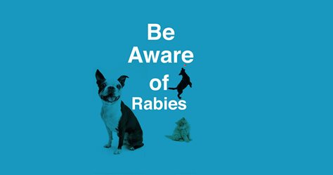 Be Aware of Rabies