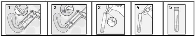 Transport.png