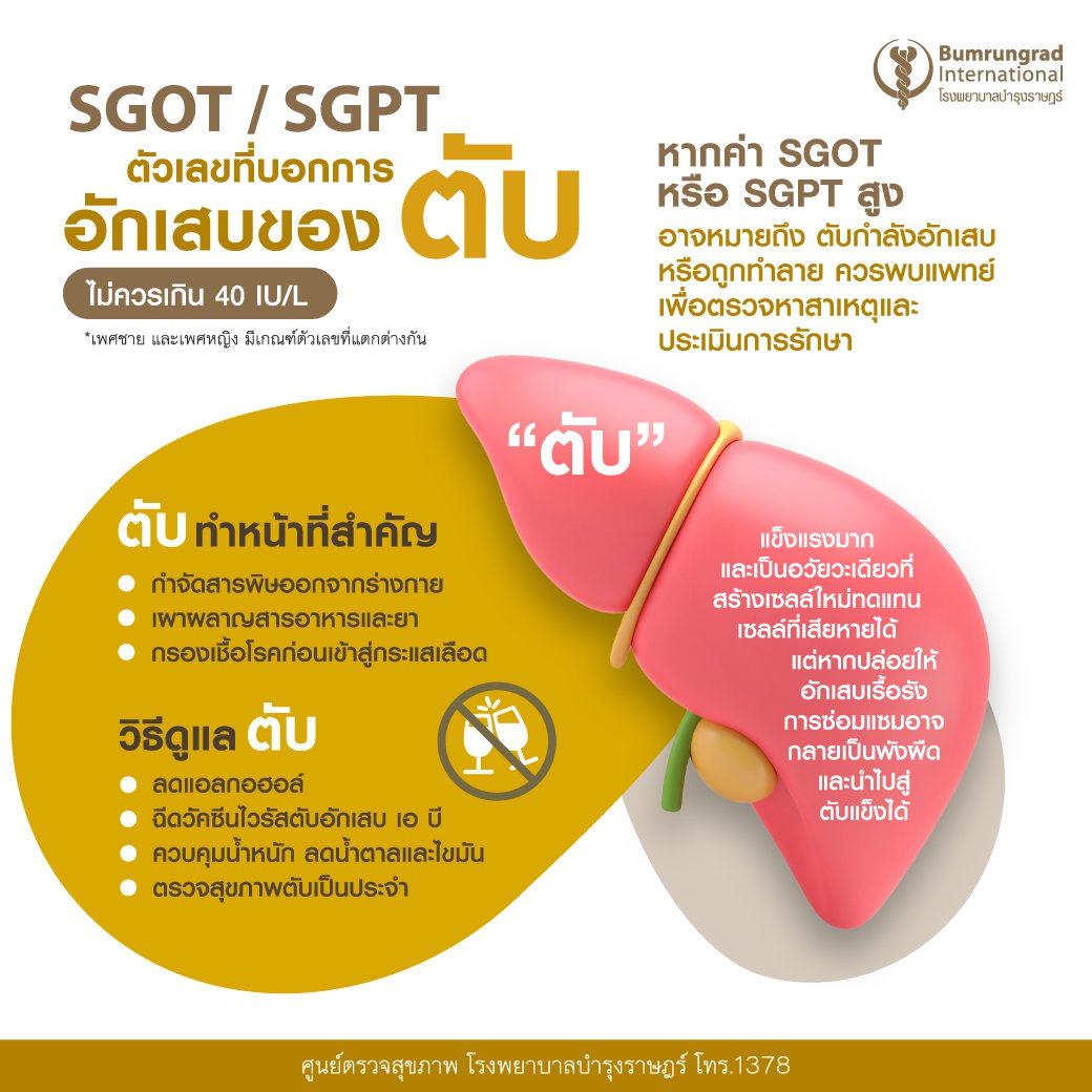 Layout-Blood-Test-Infographic-TH-02.jpg