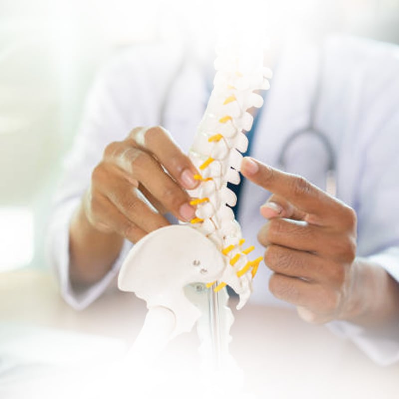 Spine-Orthopedic2.jpg