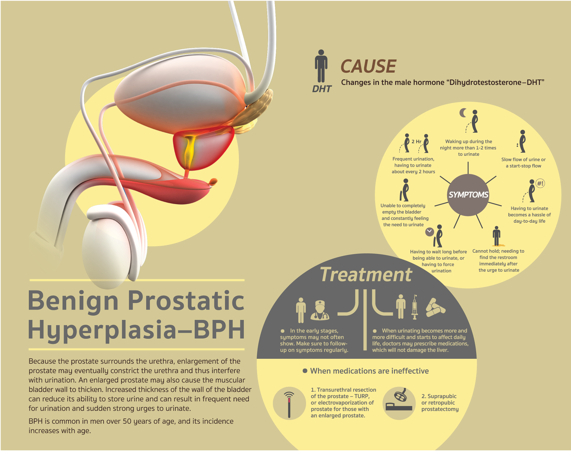 12-EN_December-a¸•a¸_a¸¡a¸¥a¸_a¸«a¸¡a¸²a¸__23-5x18-5_CM-(1).png 12-EN_December-a¸•a¸_a¸¡a¸¥a¸_a¸«a¸¡a¸²a¸__23-5x18-5_CM-(1).png