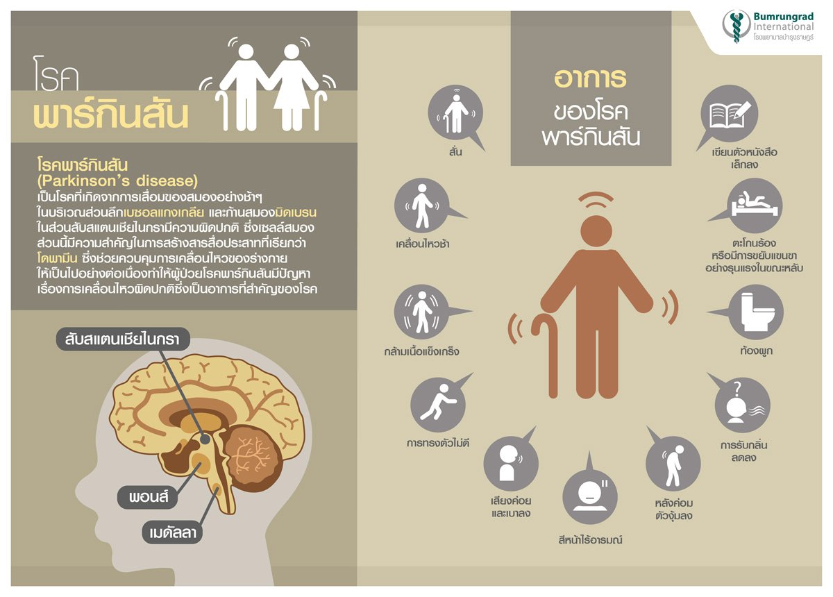 Infographic-พารกนสน2016.jpg