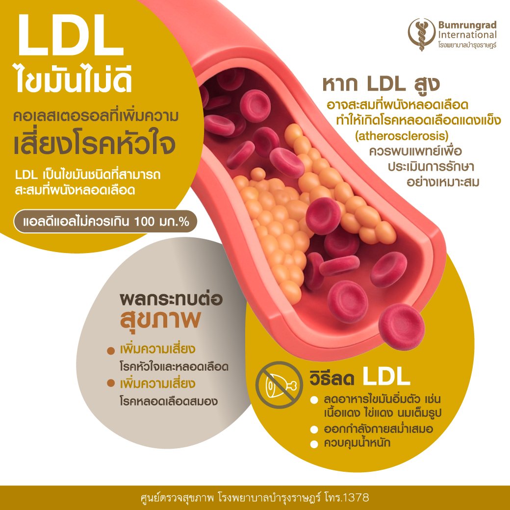 Layout-Blood-Test-Infographic-TH-04.jpg
