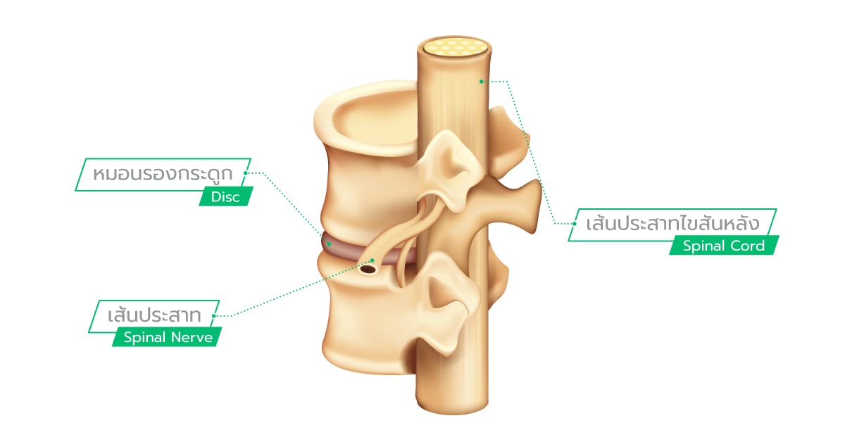 Layout-Cervical-Myelopathy-Blog_Blog-Content-(1).jpg