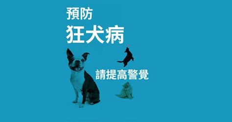 預防狂犬病請提高警覺 