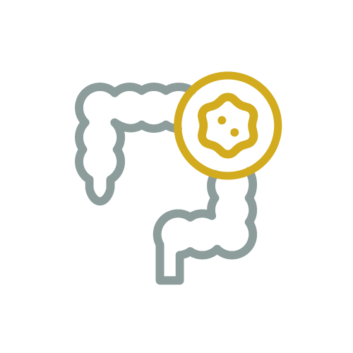 Layout-Digestive-Disease-(GI)-Center-Element_Risk-4-500x500.png