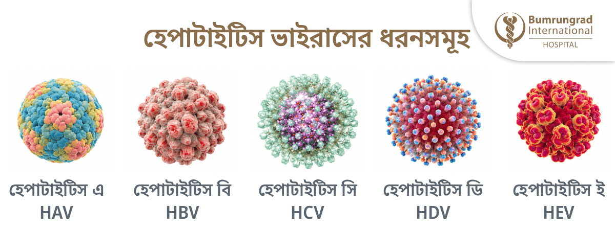 Hepatitis-2026-Day-Infographics-BN.png