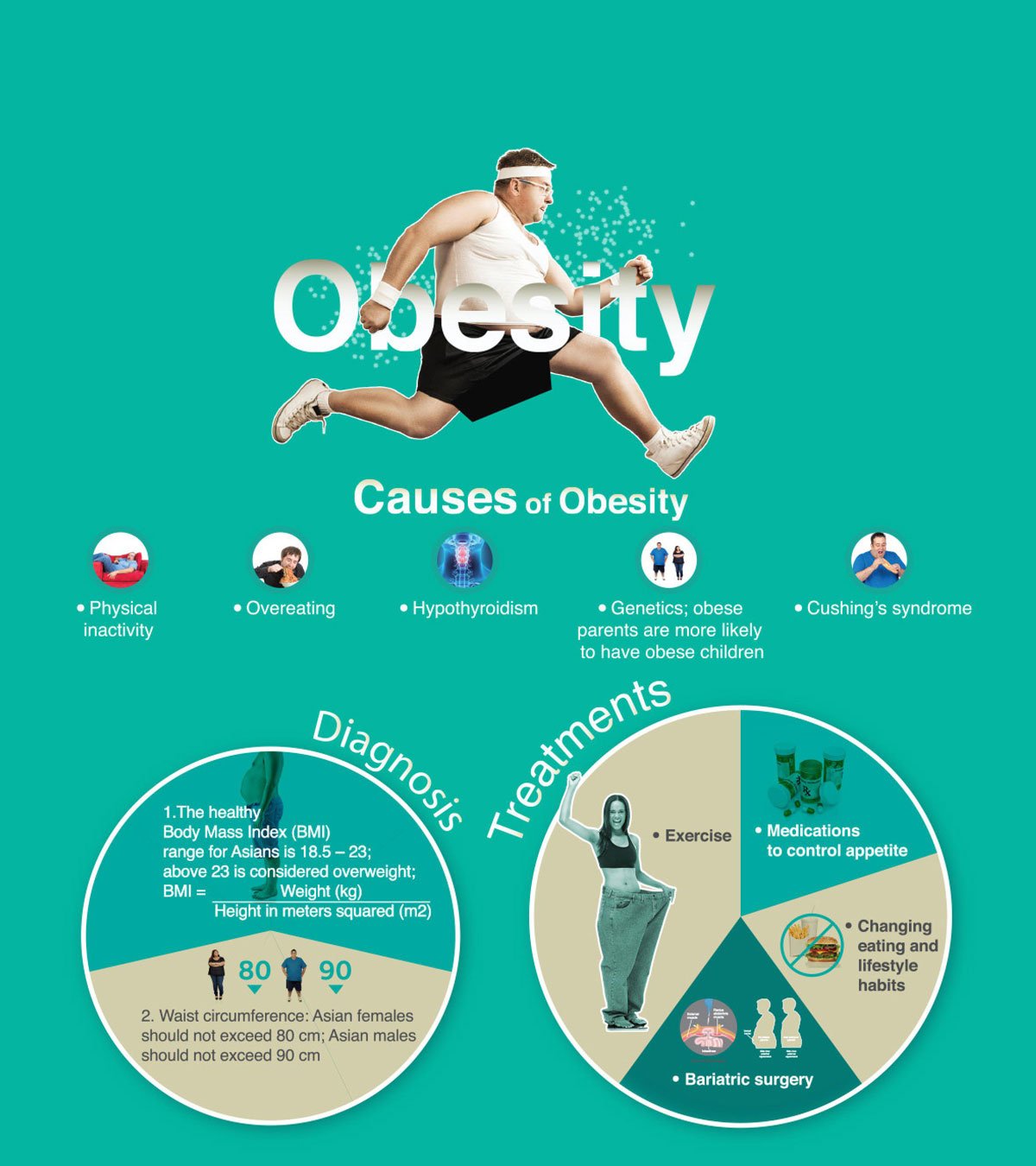 Causes of Obesity infographic thailand