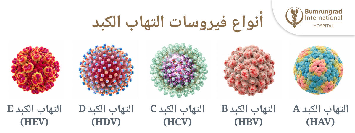Hepatitis-2026-Day-Infographics-AR.png