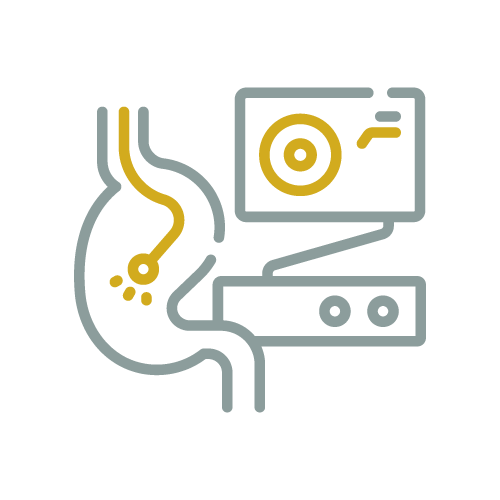 Layout-Digestive-Disease-(GI)-Center-Element_Techno-3-500x500.png