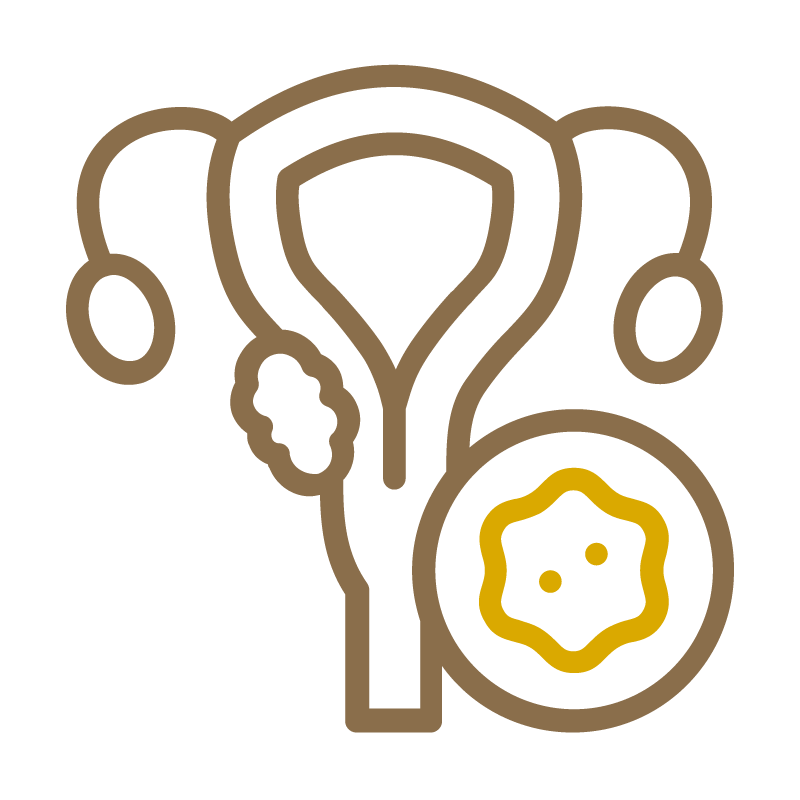 Women's Cancer Screening