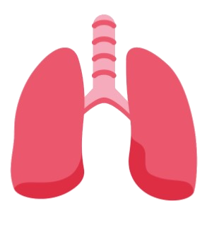 CT Photon Lung Cancer Screening
