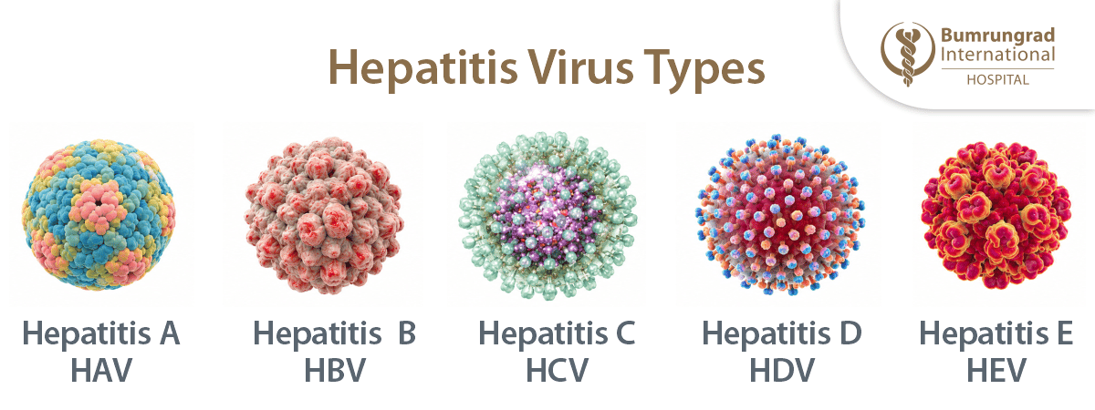 Hepatitis-2026-Day-Infographics.png
