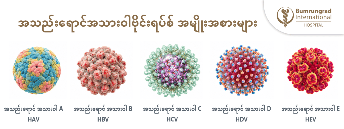 Hepatitis-2026-Day-Infographics-MM.png
