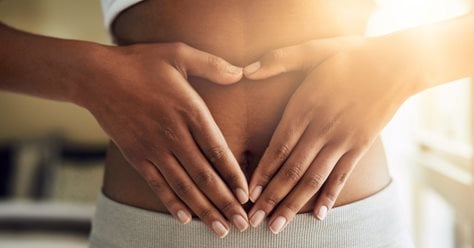 The role of your intestinal system