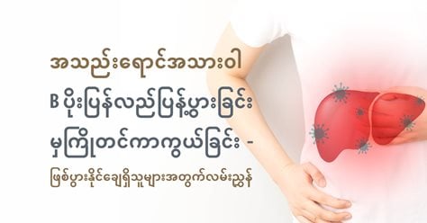 အသည်းရောင်အသားဝါ B ပိုးပြန်လည်ပြန့်ပွားခြင်းမှကြိုတင်ကာကွယ်ခြင်း :  ဖြစ်ပွားနိုင်ချေရှိသူများအတွက်လမ်းညွှန်