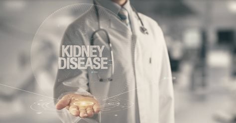 Understanding Chronic Kidney Disease
