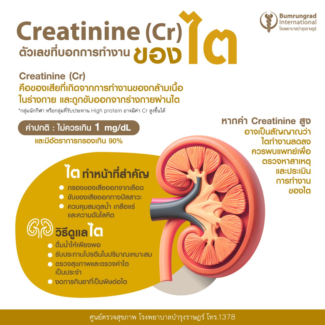 Layout-Blood-Test-Infographic-TH-01.jpg