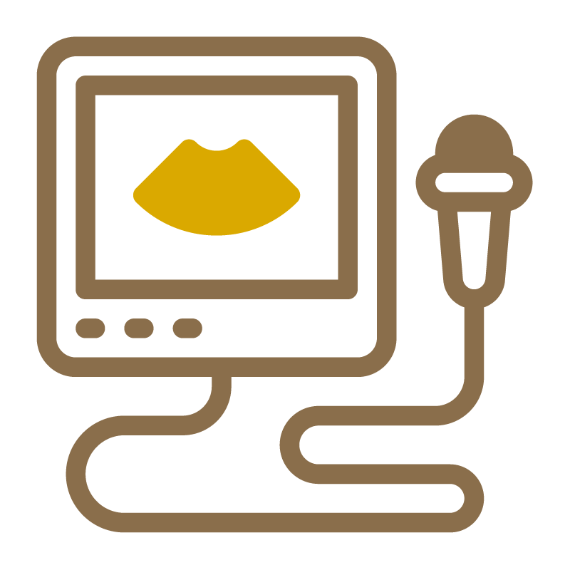 Ultrasound (Whole Abdomen)