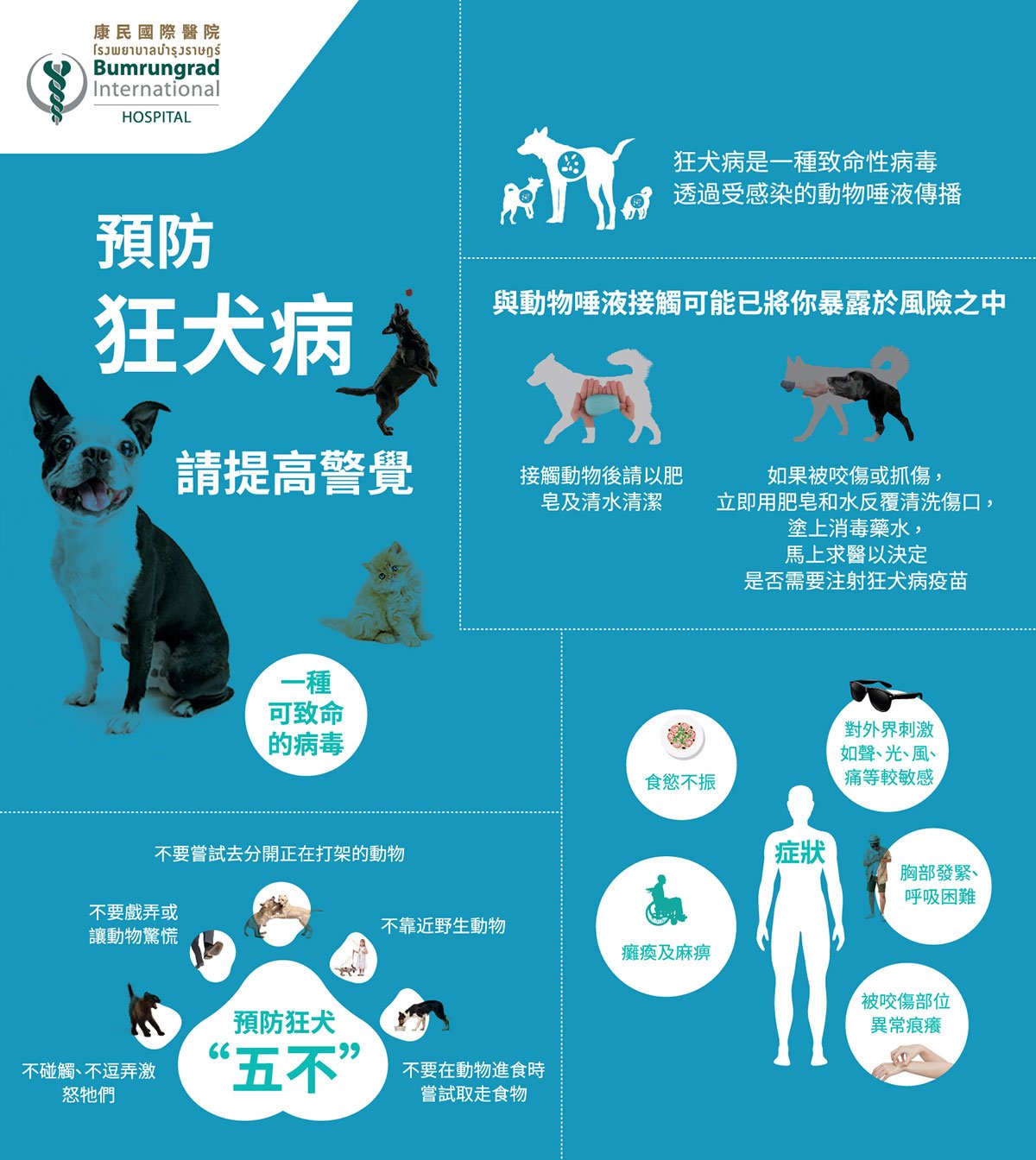 Layout-Infograohic-Rabies-01.jpg