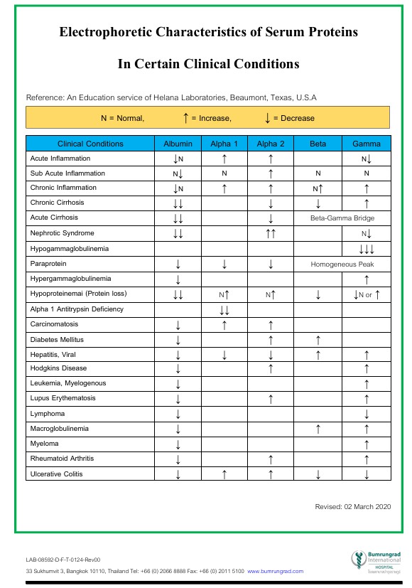 Protein-Electrophoretics.jpg