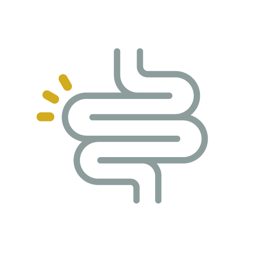 Layout-Digestive-Disease-(GI)-Center-Element_Techno-6-500x500.png