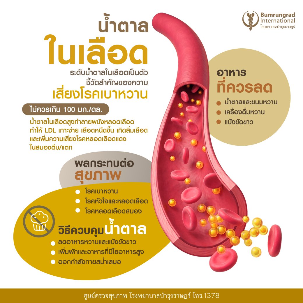 Layout-Blood-Test-Infographic-TH-05.jpg