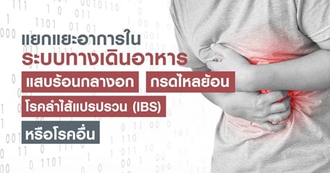 แยกแยะอาการในระบบทางเดินอาหาร: แสบร้อนกลางอก กรดไหลย้อน โรคลำไส้แปรปรวน (IBS) หรือโรคอื่น